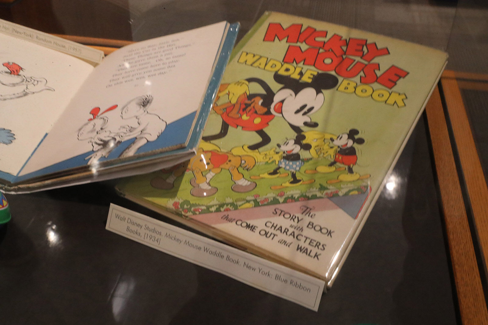 Hey Mickey